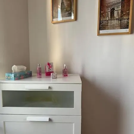 Wohnen In Der Nahe Vom Biebricher Schloss *
