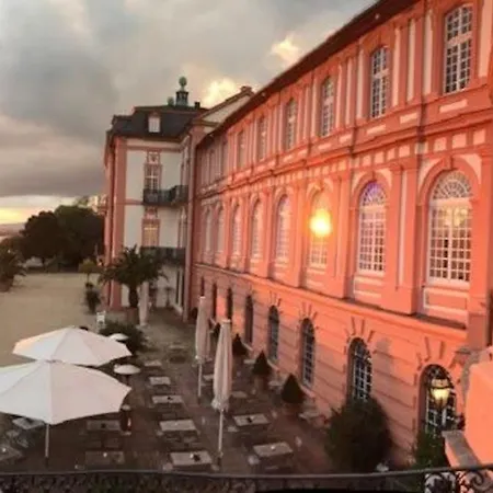 Wohnen In Der Nahe Vom Biebricher Schloss Apartment *