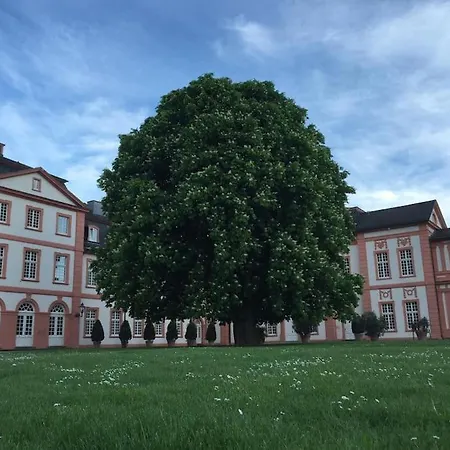 Apartment Wohnen In Der Nahe Vom Biebricher Schloss *